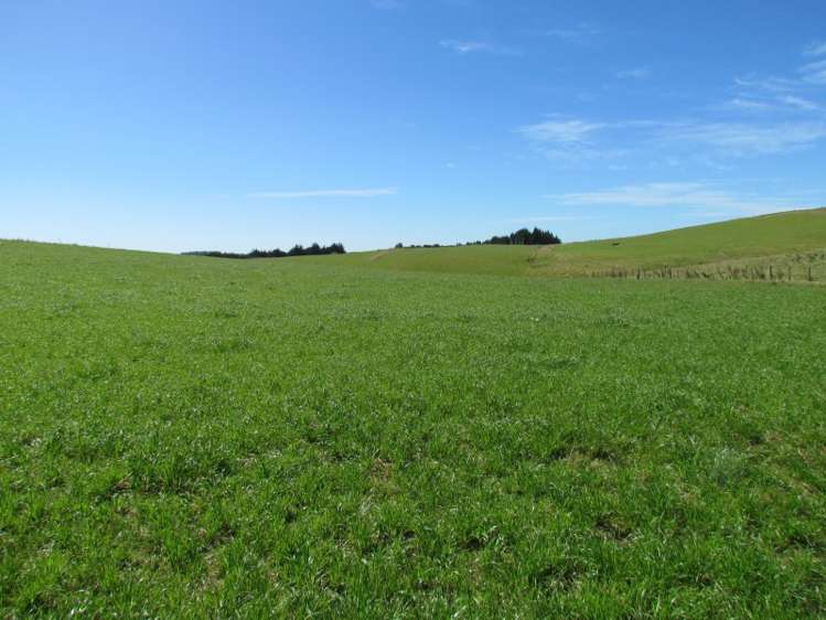 219 Beacon Hill Road Clinton and Surrounds_11