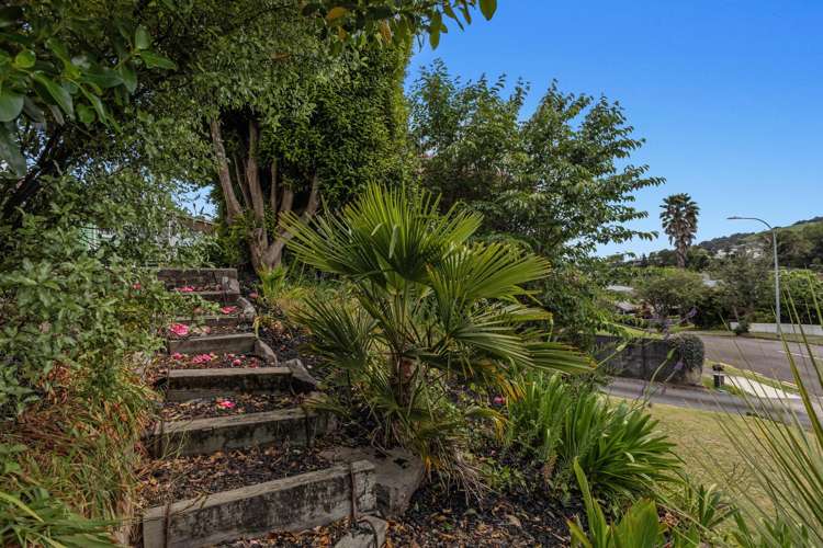 8 White Horse Drive Whakatane_19