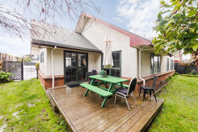 21a Alfred Street Roslyn_9