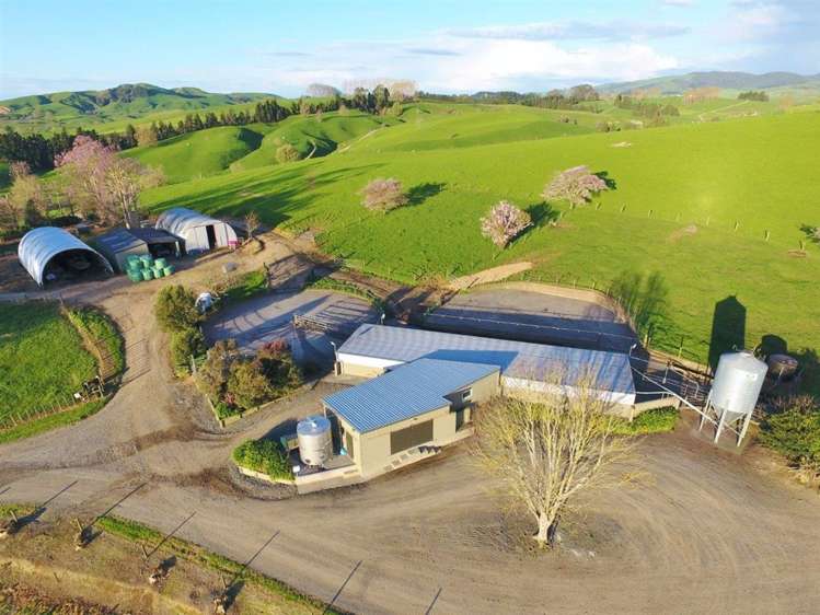 203/219 Paewhenua Road Maihiihi_0