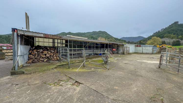 250 Puriri Valley Road Puriri_9