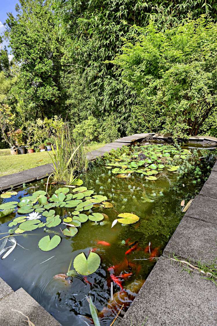 651 West Coast Road Oratia_6