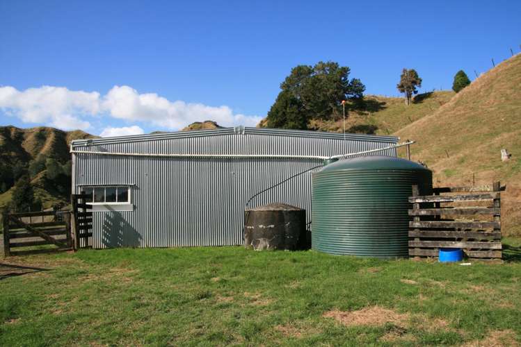 4869 Ohura Road Pohokura_19