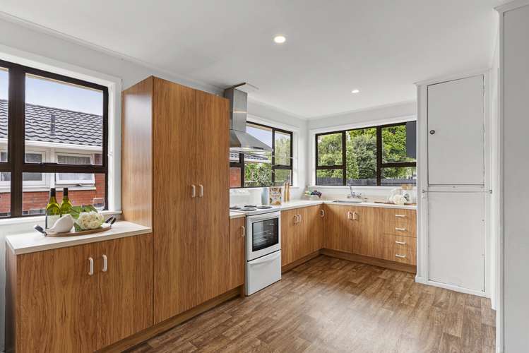 15 Williams Avenue Pakuranga_8