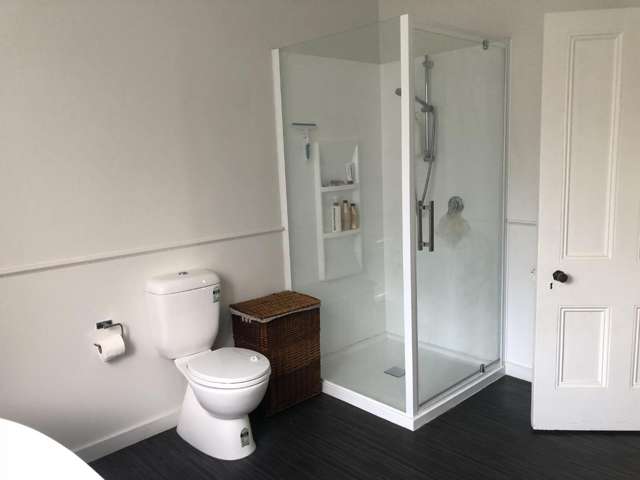 66a Tom Parker Avenue Marewa_3