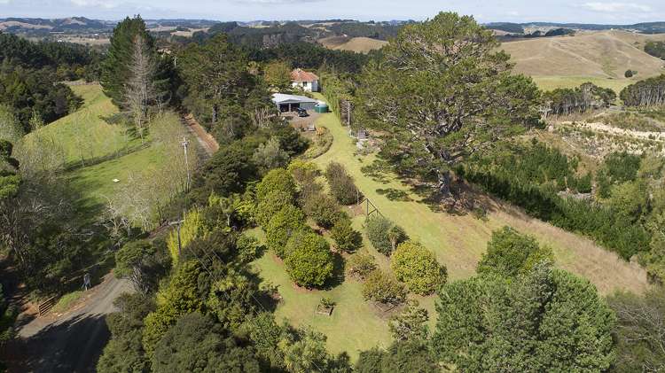 130 Shanks Road Helensville_27