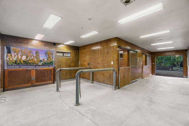 55 Postman Road Dairy Flat_16