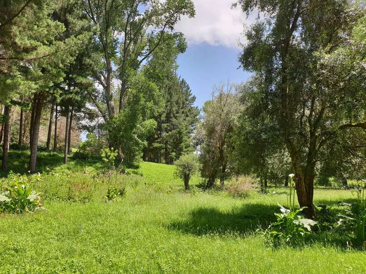 217 Taumatatahi Road Ruapehu-King Country Surrounds_20