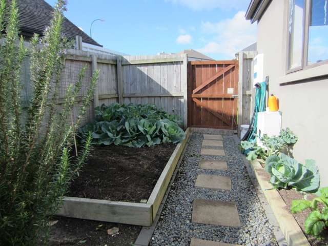 234 Alec Craig Way Gulf Harbour_2