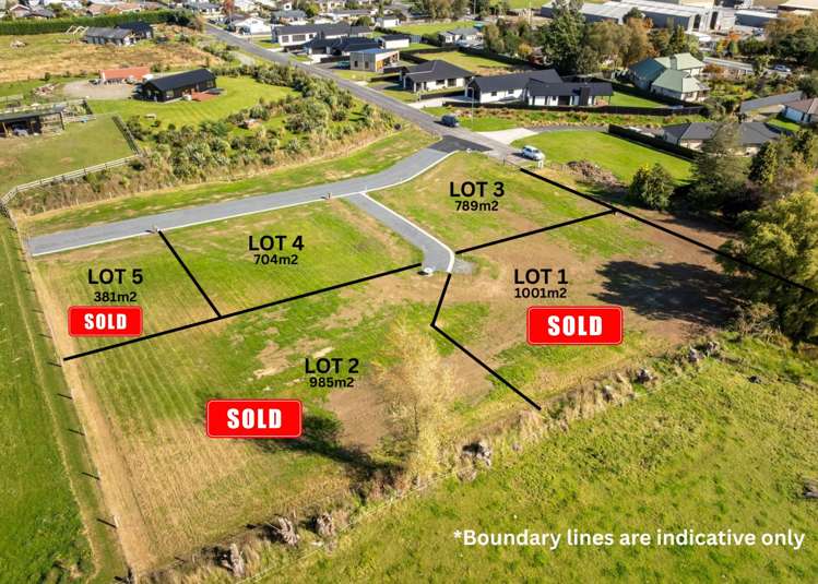 Constitution Avenue Milton_1