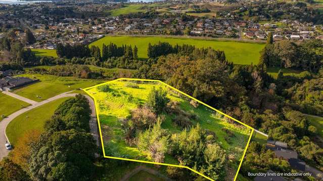 99 Carmen Way Ohauiti_1