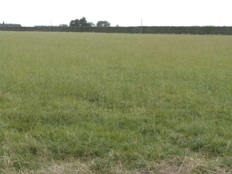 219 Robertson Road Winton Surrounds_32