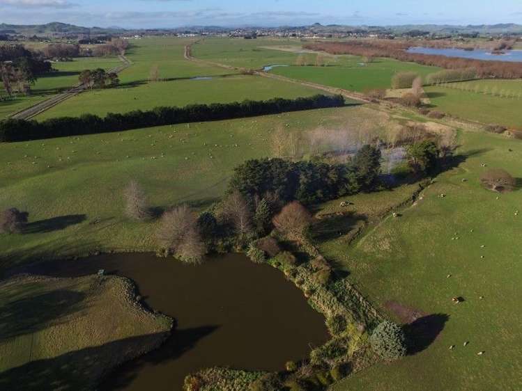 341 Hatuma Road Waipukurau and Surrounds_1