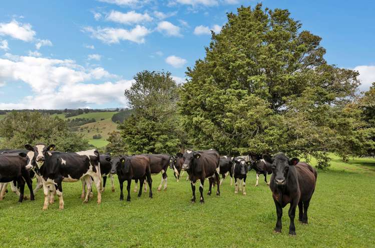 2006 State Highway 1 Hukerenui and Surrounds_13