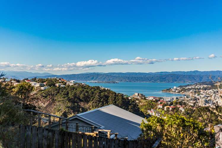 4 Broomhill Road Aro Valley_2