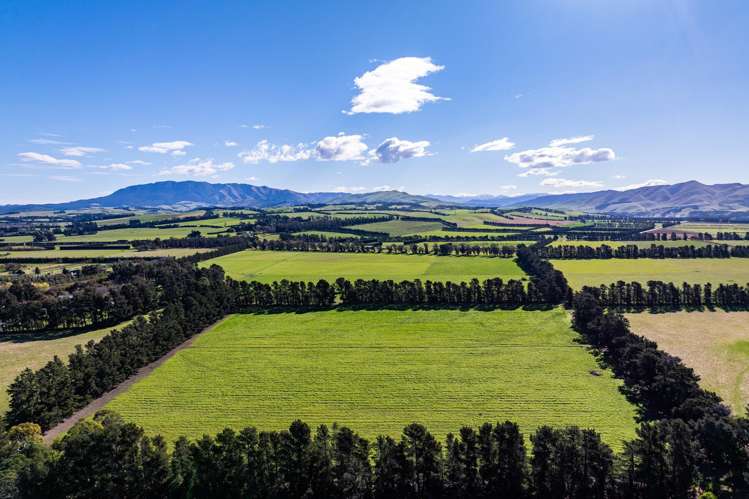 381 Georges Road Waipara_5