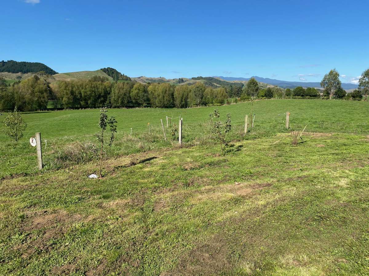 305 Waitetuna Valley Road_3