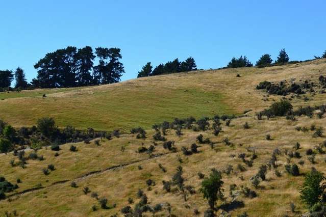 West Maerewhenua Road North Otago Surrounds_1