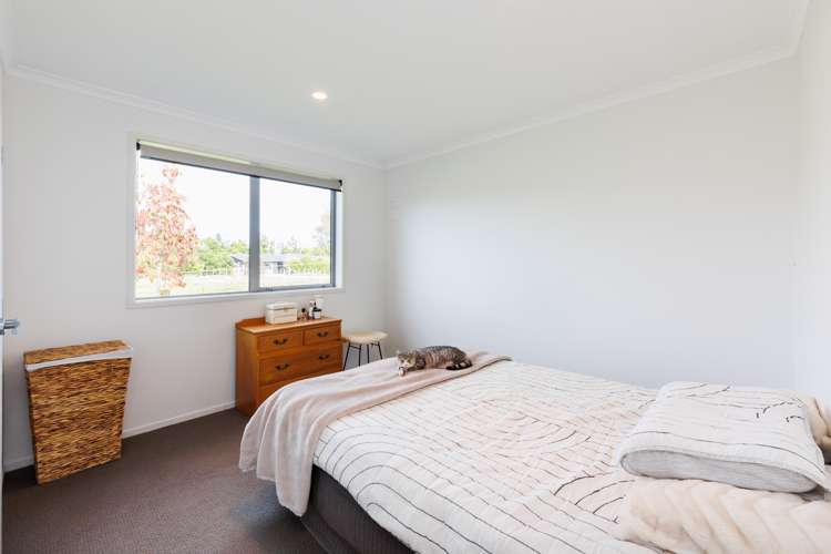 1b Wyndham Street Ashhurst_25