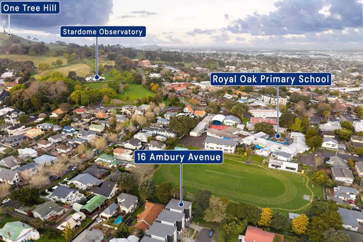 16 Ambury Avenue Royal Oak_26