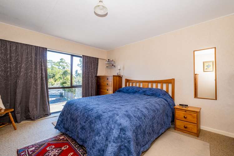 98 Hendersons Road Tinwald_12