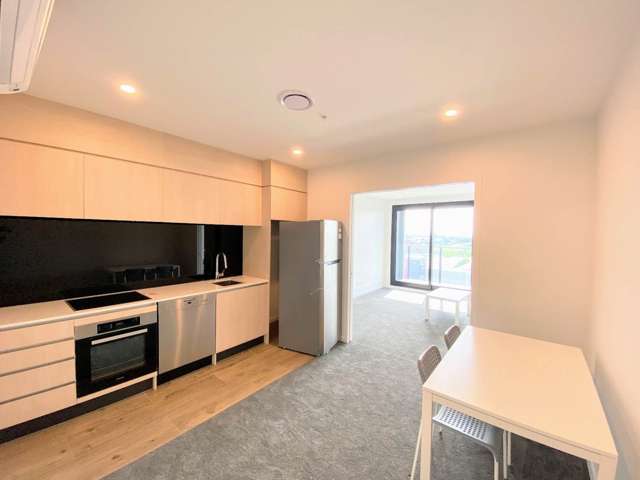 221/428 Dominion Road Mt Eden_3