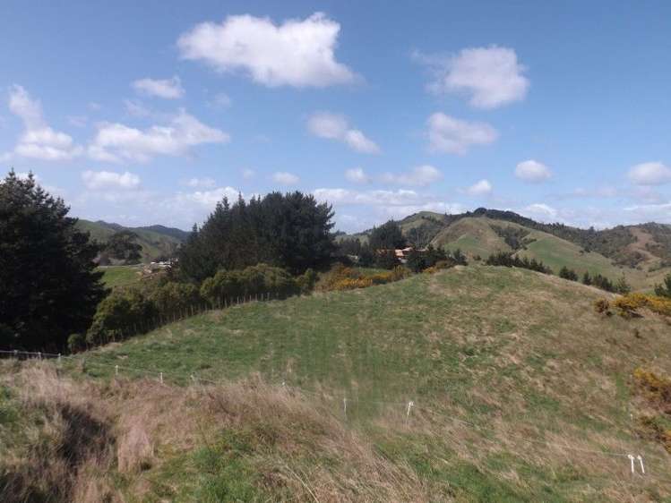 951h Waingaro Road Glen Massey_7