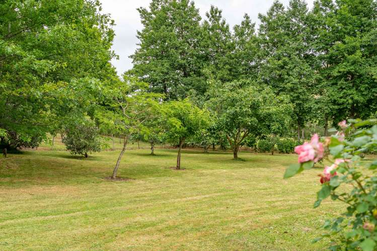 31 Whakarua Road Hinakura_14