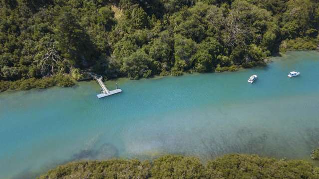 90 Cedar Terrace Stanmore Bay_2