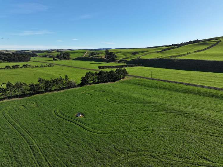 46 Clarkes Road, Glenledi Milton_8