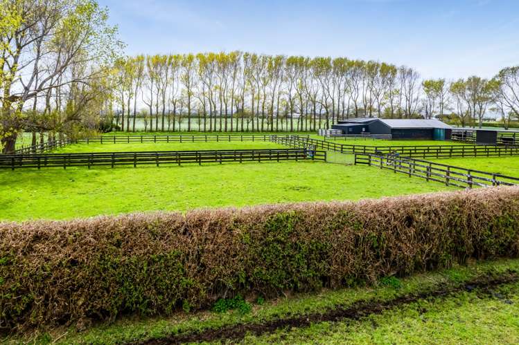 211 Tawhiti Road Hawera_27