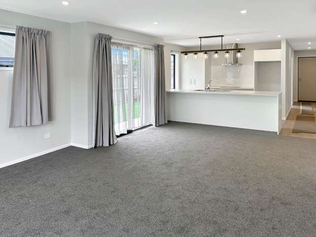 29a Cole Street Masterton_2