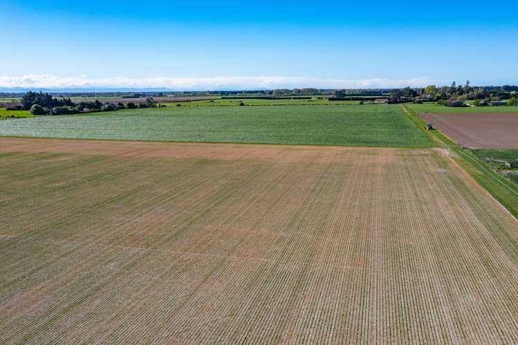 Selwyn Lake Road Leeston_10