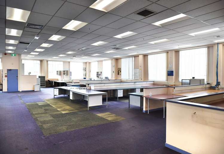 52 Stuart Street Dunedin Central_2