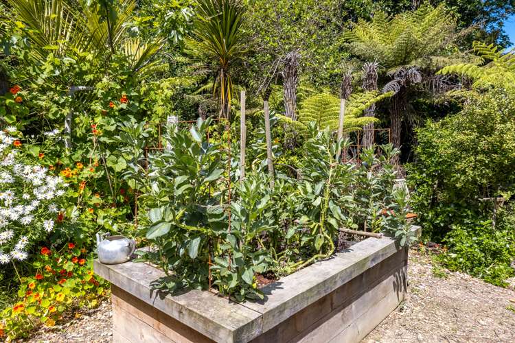 23 Hauraki Road Oneroa_17