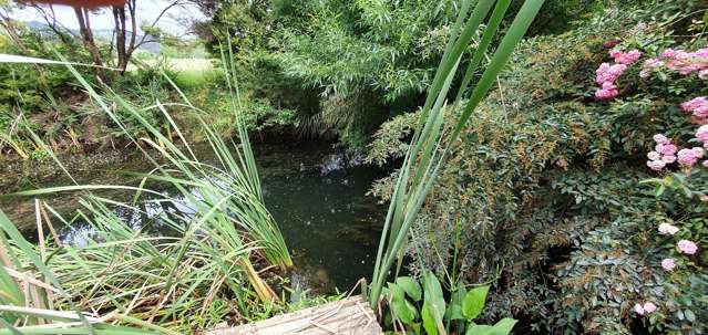 126 Peria Road Peria_2