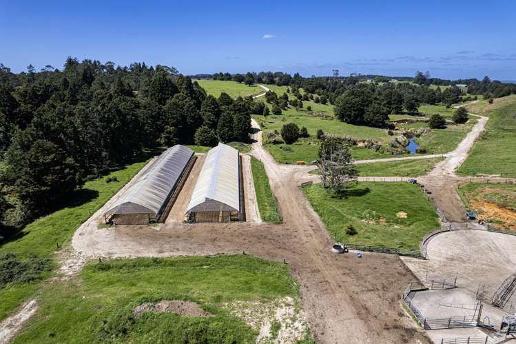 731 Puhipuhi Road Whakapara_8