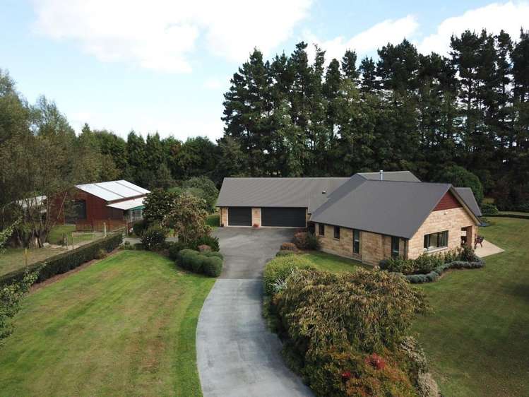 23 Trentham Road Matangi_5