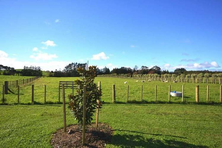 234 Ness Road Kerikeri Surrounds_18