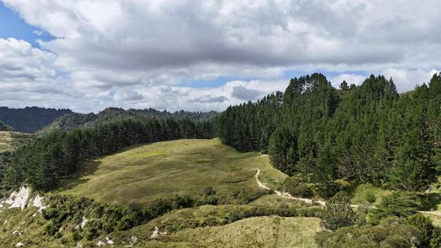 Calling all nature lovers!