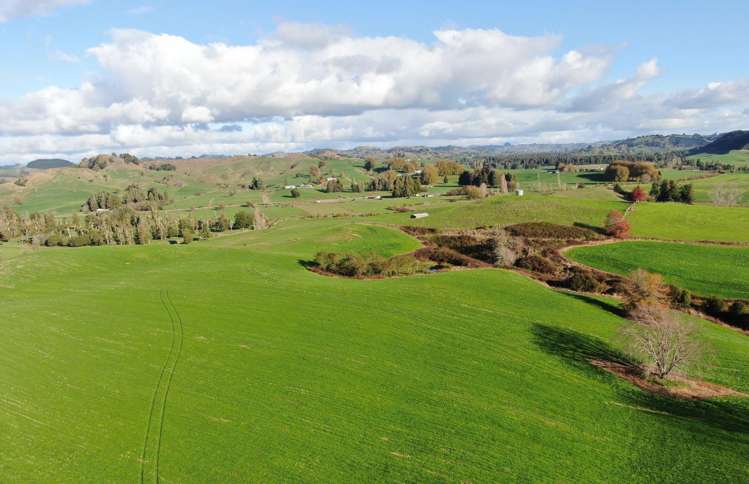 Waitomo Caves Road Waitomo_1