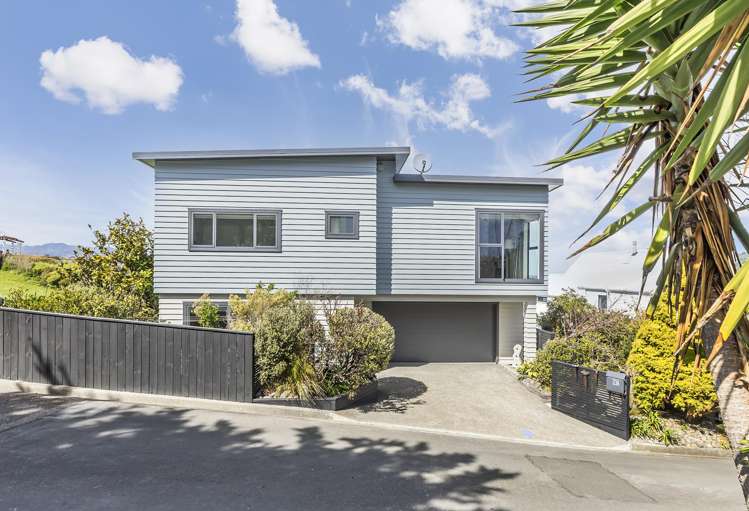 33a Treasure Grove Hataitai_22