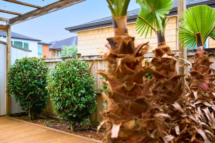 15 Carrickdawson Drive Flat Bush_9