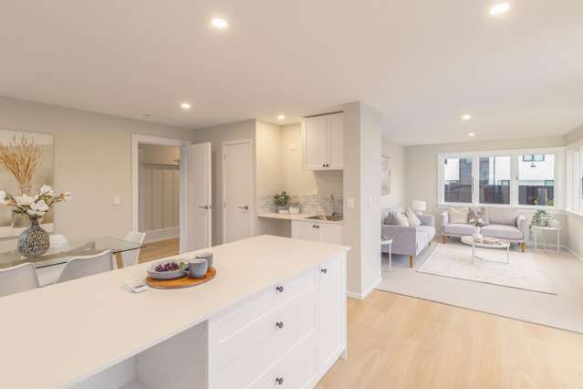 59 Opawa Road Waltham_2