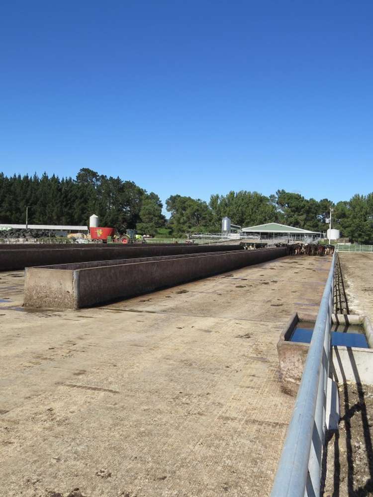 6261 State Highway 1 Kinleith_9