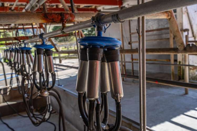 1234 Okains Bay Road Okains Bay_34