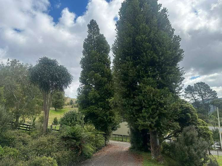 774 Kopu-Hikuai Road Kopu_20