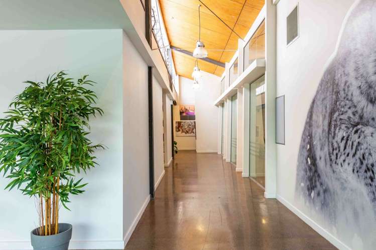 40 Ireland Street Freemans Bay_5