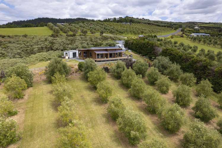 87 Leccino Valley Road Mangonui_15