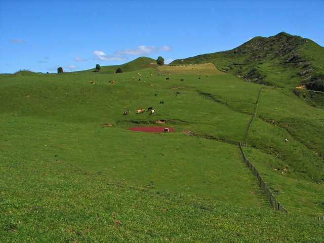 1843 Oio Road Ruapehu-King Country Surrounds_1